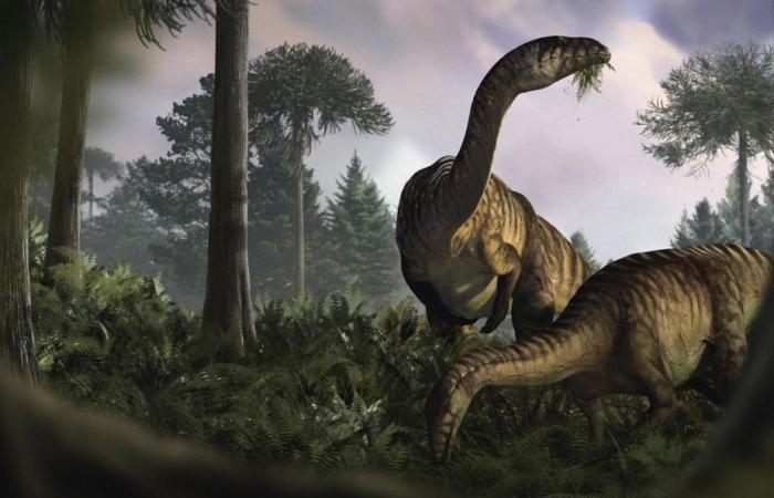 Estudio | La supremacía de los dinosaurios contada a través de sus estómagos