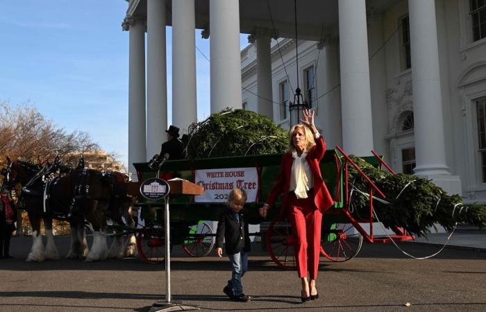 Imágenes adorables: Jill Biden y su nieto Beau dan la bienvenida al árbol de Navidad de la Casa Blanca