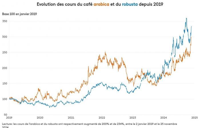 INFOGRAFÍA. Cómo se disparó el precio del café en el mercado de materias primas