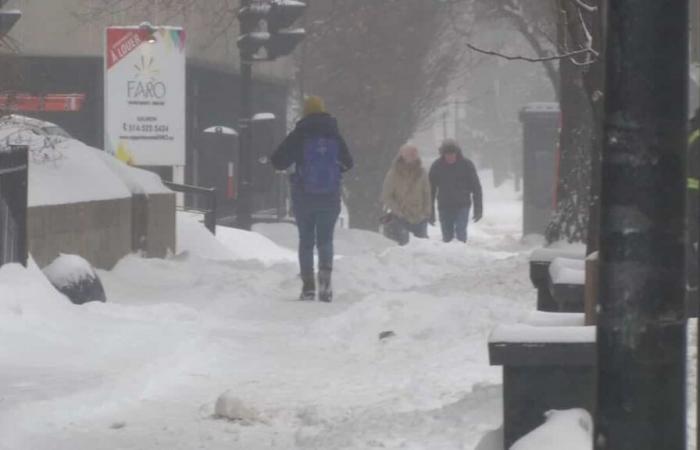 Pronóstico para este invierno: ¿más tormentas de nieve a la vista?