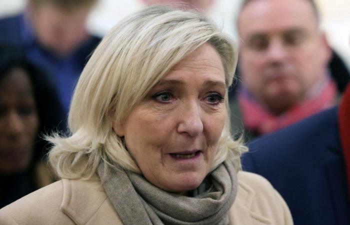 La abogada de Marine Le Pen lo intenta todo en su juicio