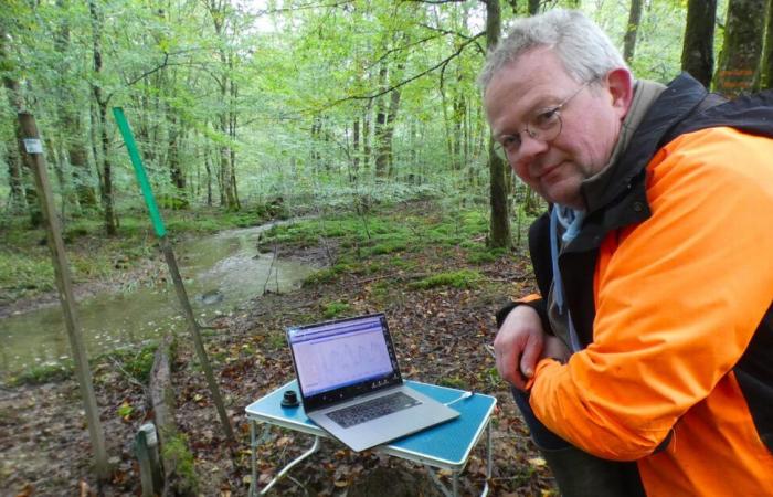 En el bosque de Chaux, la restauración de los cursos de agua está dando sus frutos.