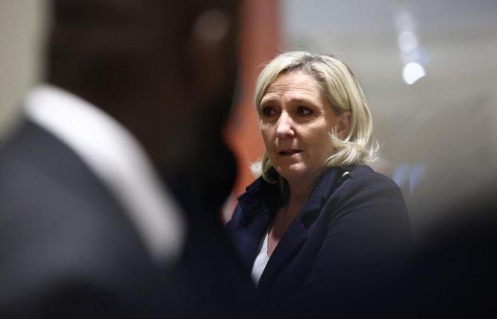 Marine Le Pen quiere evitar la “muerte política”, su defensa en el bar este miércoles