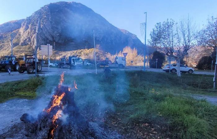 Ira de los agricultores: con los campesinos movilizados en la rotonda de Sabart en Tarascon-sur-Ariège, “este es el buen paso, corre el riesgo de subir”