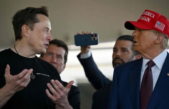 Elon Musk tuitea sobre delincuentes sexuales sin darse cuenta de la ironía