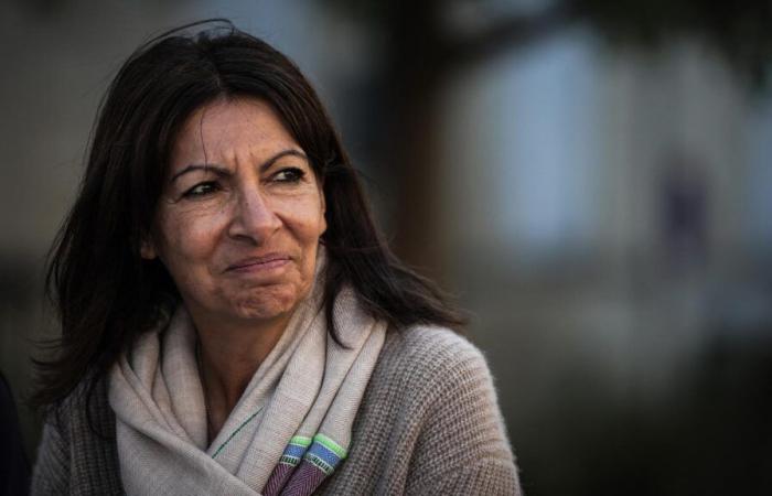 ¿Quiénes son los principales candidatos preparados para suceder a Anne Hidalgo?