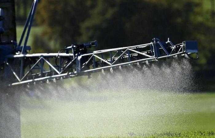 Agricultores ecológicos se manifestarán tras la contaminación de sus cultivos por un pesticida