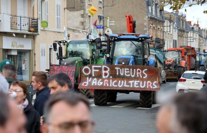 La Oficina Francesa de Biodiversidad, la pesadilla de los agricultores de Indre