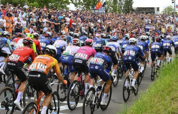 Ciclismo. Ruta: 13 equipos profesionales franceses en 2025, uno más que en 2024