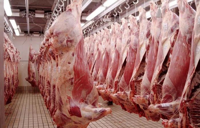 Los precios de la carne roja vuelven a bajar en los mataderos de Casablanca