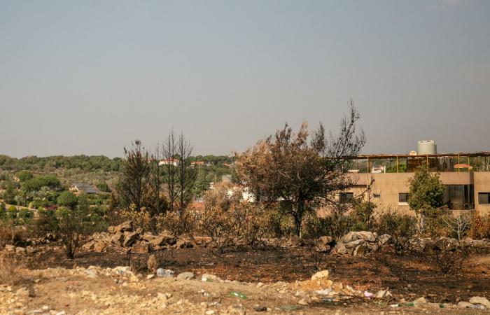 Pese al alto el fuego, los campesinos libaneses están convencidos de que Israel quiere “expulsarlos de aquí”