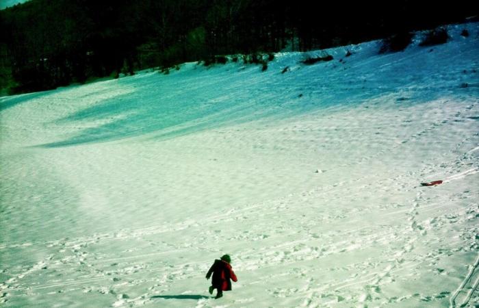 “Senderos de nieve”, de Kev Lambert: introducción a la metamorfosis