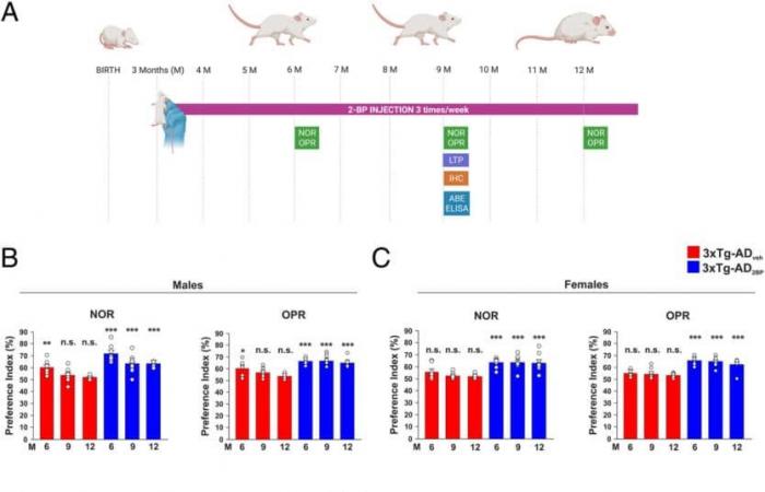 Un nuevo aerosol nasal revierte el deterioro cognitivo y el daño cerebral en ratones