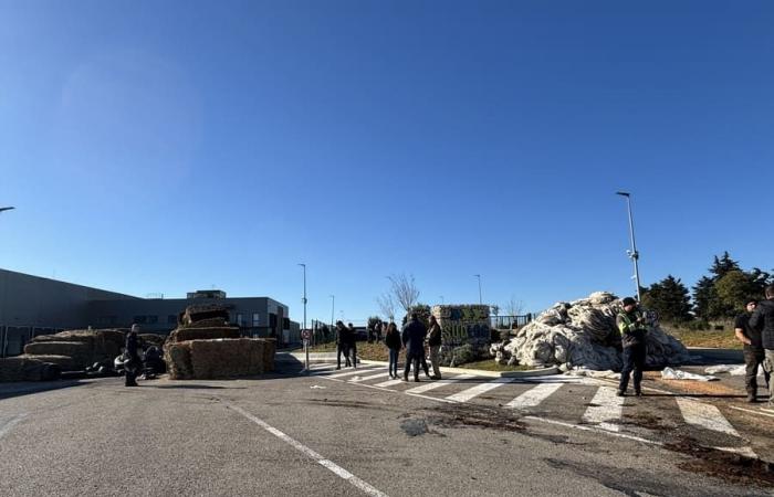 En Nimes y Saint-Gilles, los agricultores del Gard han endurecido su tono – Noticias