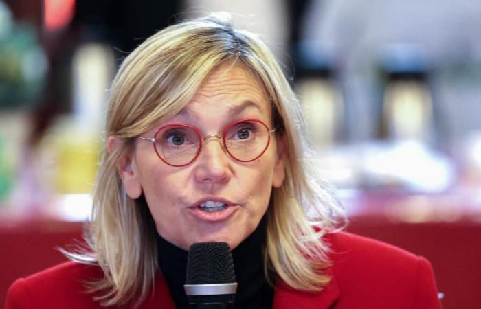 Agnès Pannier-Runacher quiere que la calefacción de gas “siga siendo más cara” que la electricidad