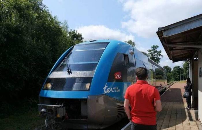 71,9 millones para renovar completamente esta pequeña línea de tren entre Côtes-d’Armor y Finistère