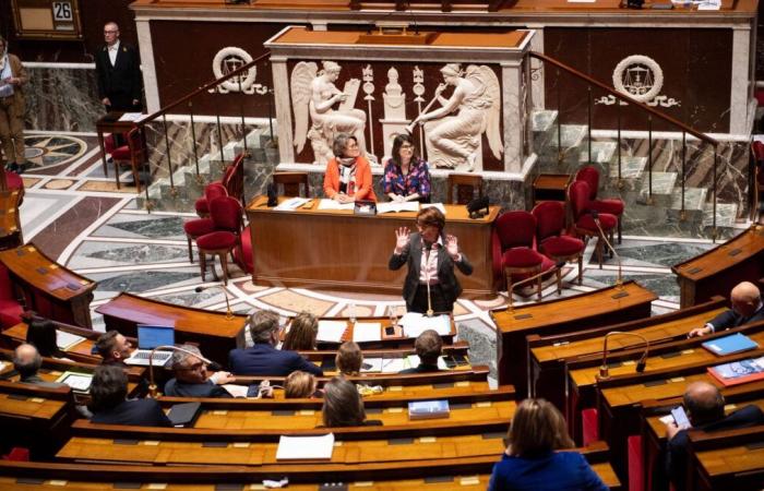 Los eurodiputados apoyan el “no” francés al Mercosur, Polonia también se opone