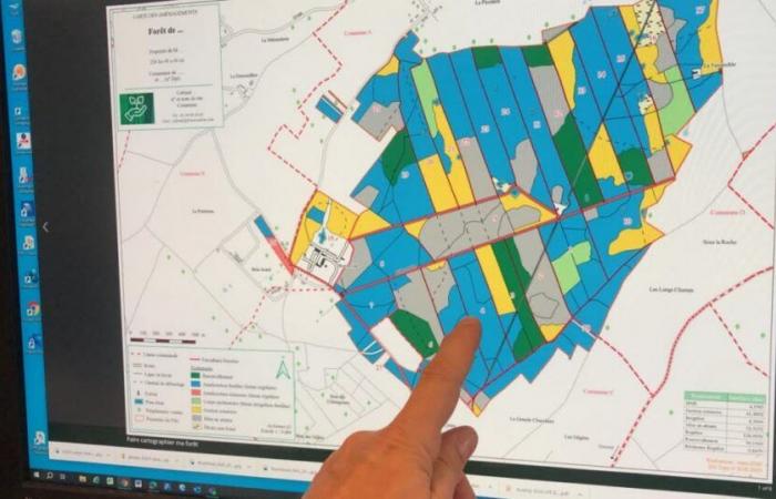 Sylvamap, la aplicación para mapear tu bosque