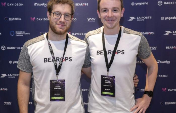 Bearops gana terreno en ciberseguridad ofensiva