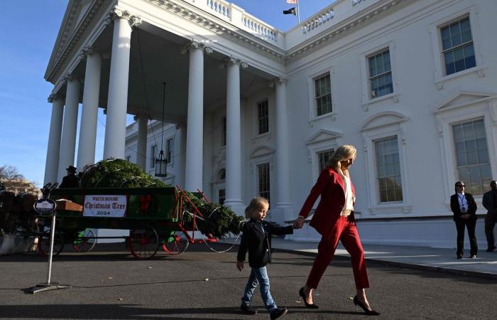 Imágenes adorables: Jill Biden y su nieto Beau dan la bienvenida al árbol de Navidad de la Casa Blanca