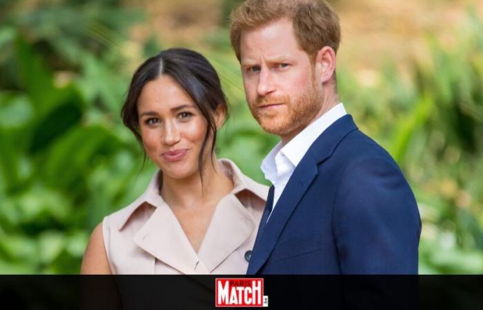 “No se irán sin luchar”: he aquí por qué el príncipe Harry y Meghan Markle quieren quedarse en Estados Unidos