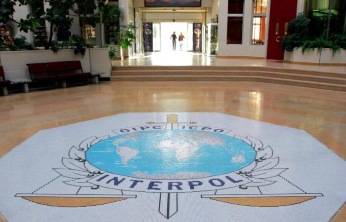 La operación récord de Interpol contra las estafas en línea