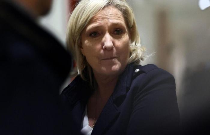 Juicio a RN: el abogado de Marine Le Pen pide por última vez evitar la “muerte política”