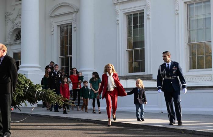 Imágenes adorables: Jill Biden y su nieto Beau dan la bienvenida al árbol de Navidad de la Casa Blanca