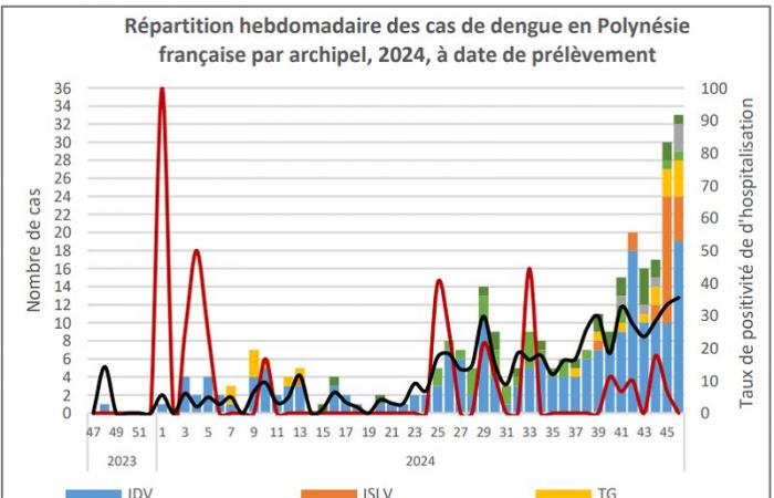 Dengue: “epidemia probada” en Tahití y Moorea