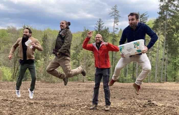 En los bosques del Alto Jura, un atrevido proyecto de reforestación