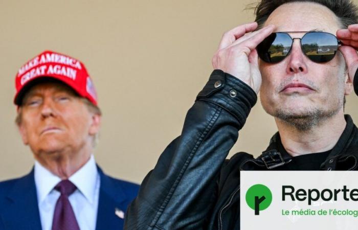 “Trump y Musk nos están llevando a un mundo helado, dominado por la IA”