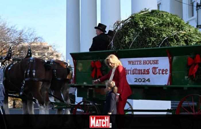 Imágenes adorables: Jill Biden y su nieto Beau dan la bienvenida al árbol de Navidad de la Casa Blanca