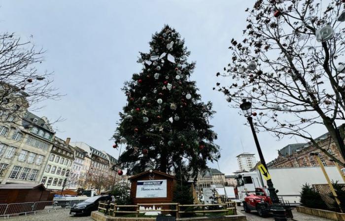 Los 10 mandamientos para sobrevivir al mercado navideño de Estrasburgo, edición 2024