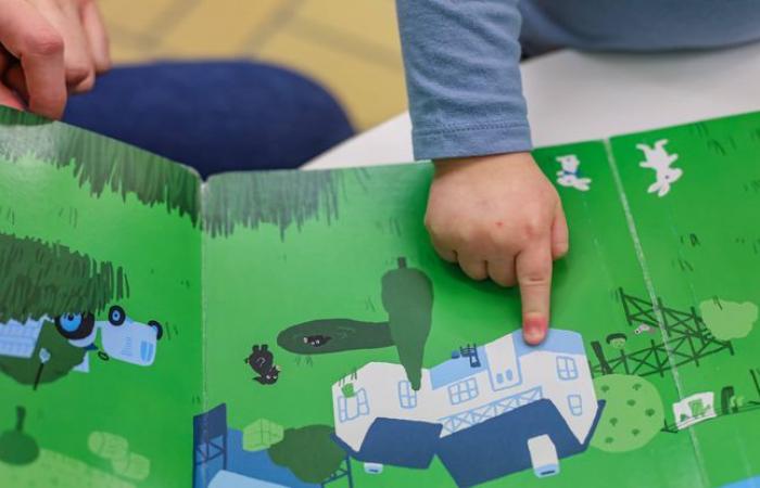 ¿Cómo elegir un buen libro infantil?