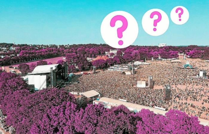 ¿Quién estará en Vieilles Charrues 2025? Aquí están nuestras predicciones.