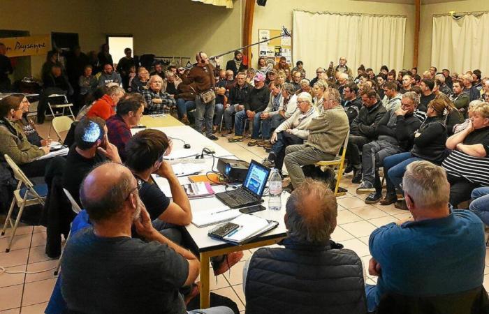 Ataques de lobos en Finisterre: la Confederación Campesina reúne a 200 actores alrededor de una mesa