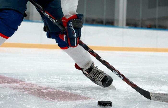 “No se respetó la seguridad”: el niño murió tras ser golpeado por un disco de hockey, el club y la pista de hielo condenados