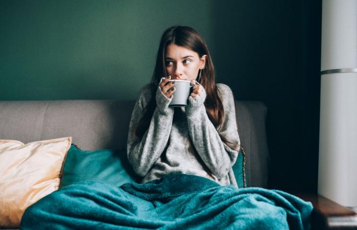 Los 3 mejores calentadores eléctricos para mantenerte abrigado este invierno