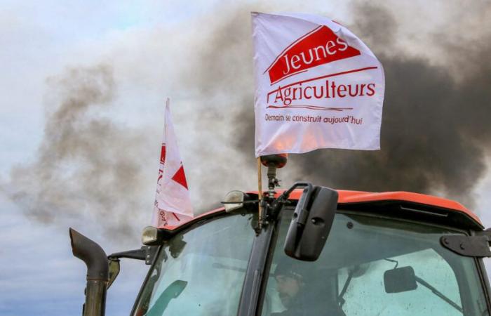 Jóvenes agricultores del Aude bloquean el puerto de Port-la-Nouvelle