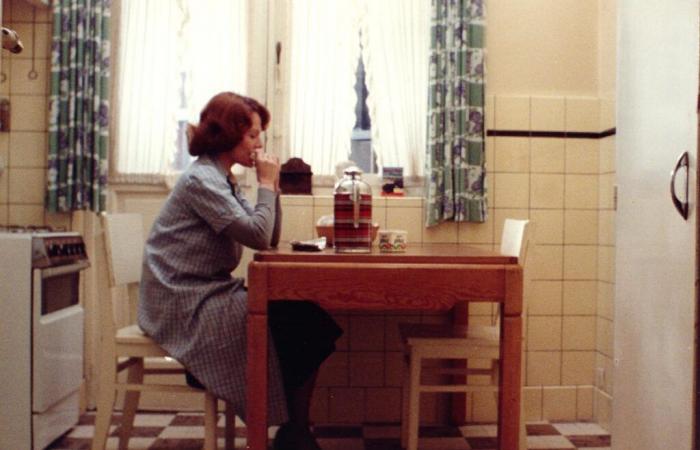 Chantal Akerman, ellos, ellos, nosotros…