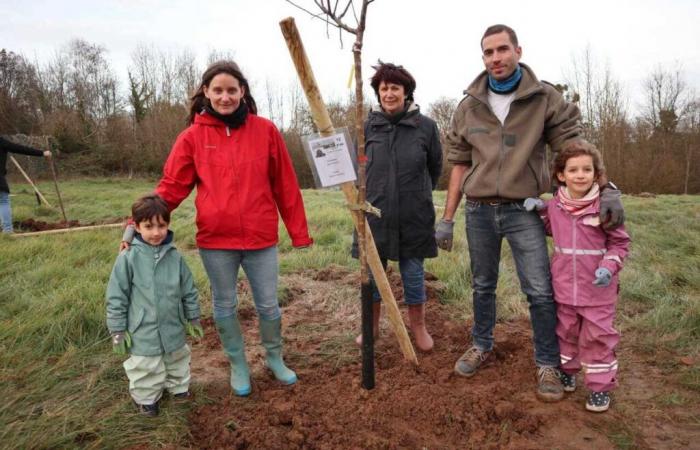 Cada nacimiento tiene su propio árbol en este pueblo del Val-d’Oise