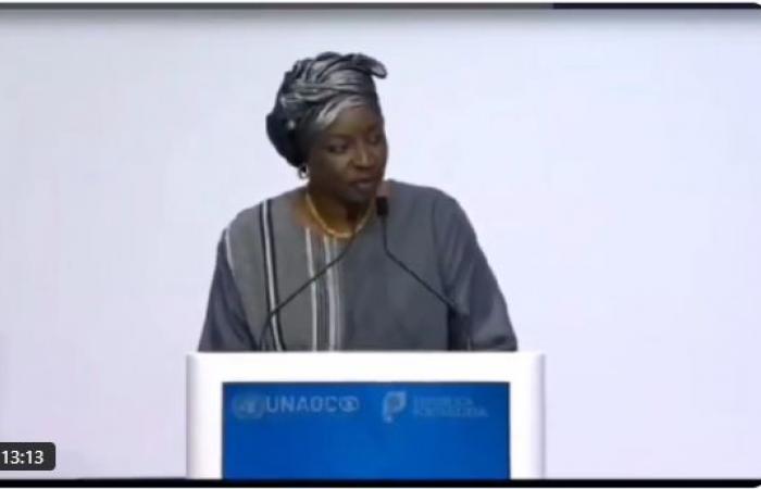 Aminata Touré revoluciona la Alianza de las Naciones Unidas para la Civilización