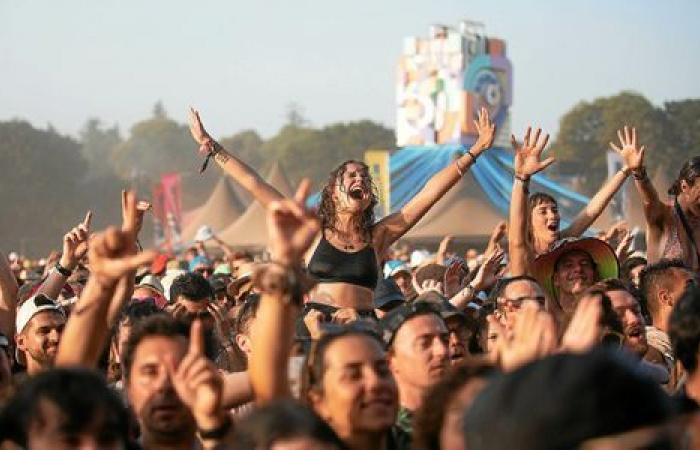 ¿Quién estará en Vieilles Charrues 2025? Aquí están nuestras predicciones.