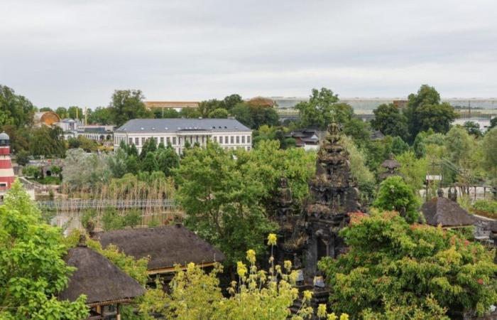 Bélgica. Tres animales han llegado al enorme parque Pairi Daiza pero probablemente no los verás