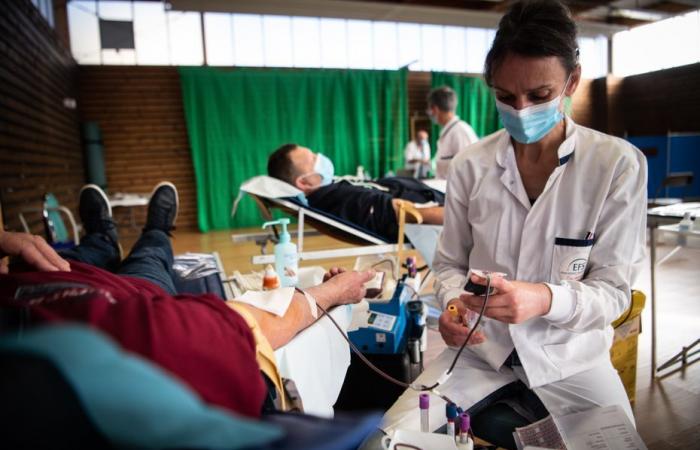 “El riesgo debería terminar rápidamente”, ¿cómo impactan los brotes de dengue indígena en las donaciones de sangre?