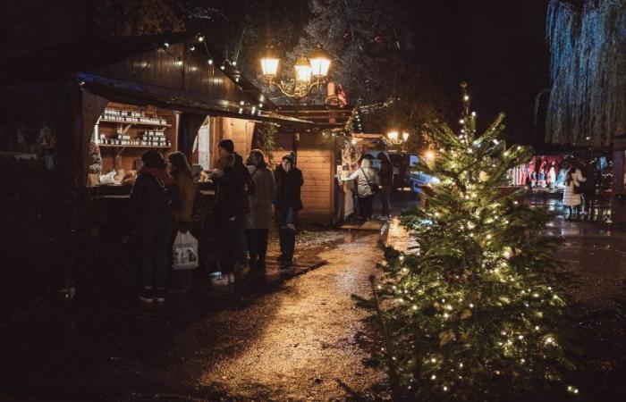 Los 10 mandamientos para sobrevivir al mercado navideño de Estrasburgo, edición 2024