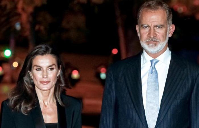 “Es una pena”, “absolutamente magnífico”… Estos nuevos retratos de Felipe y Letizia desde España que dividen al país