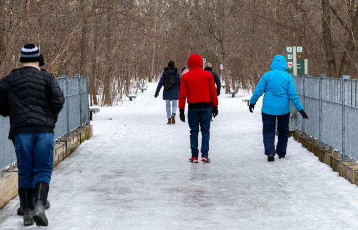 Previsiones de la red meteorológica | Un invierno suave con muchas precipitaciones en el horizonte