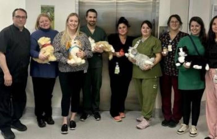 Animales robóticos en el Hospital de Montmagny