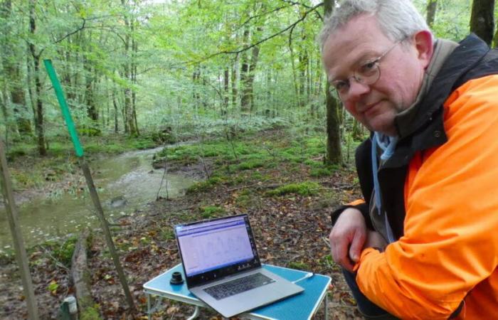 Juró. En el bosque de Chaux, la restauración de los cursos de agua está dando frutos